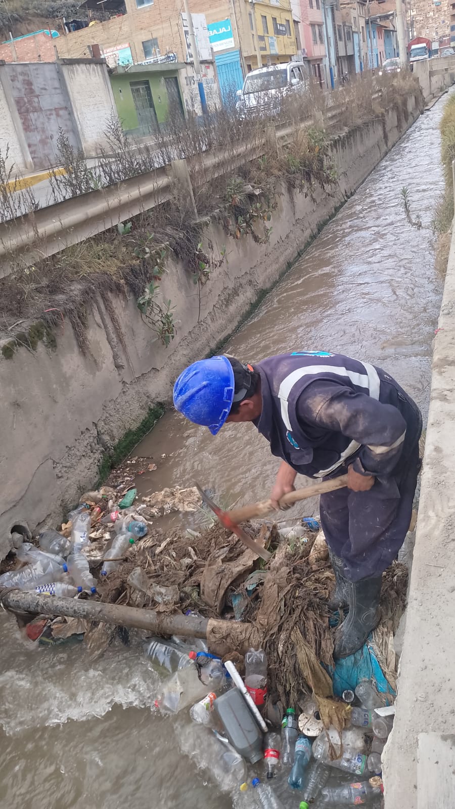 Proyectos